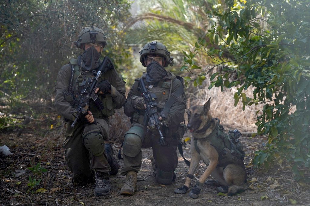 الجيش الإسرائيلي يطلق كلابه على محاصرين بمستشفى كمال عدوان