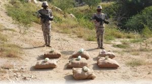 «حرس الحدود» بجازان يحبط تهريب 140 كيلوغرام «قات»