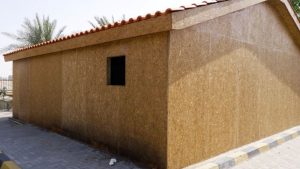 يمكن لإعادة تدوير أشجار النخيل خفض انبعاثات غاز الميثان وإنشاء بديل أخضر للخشب الرقائقي