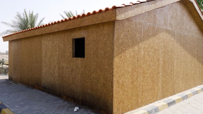 يمكن لإعادة تدوير أشجار النخيل خفض انبعاثات غاز الميثان وإنشاء بديل أخضر للخشب الرقائقي