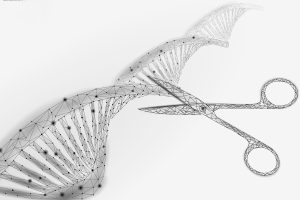 الولايات المتحدة تجيز استخدام أول علاج باستخدام مقص “كريسبر” الجزيئي