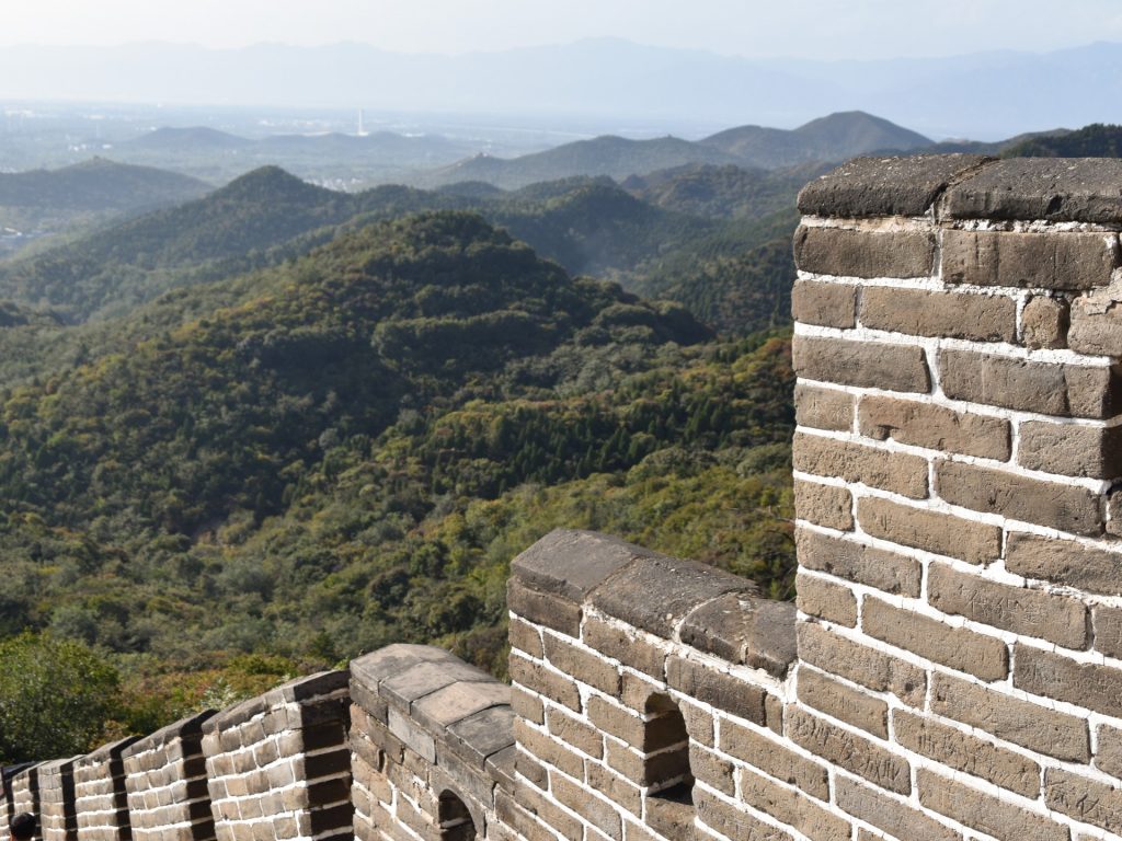 القشور الحيوية توفر التماسك لسور الصين العظيم