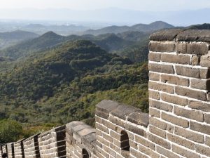 القشور الحيوية توفر التماسك لسور الصين العظيم