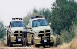 «الأمن البيئي» تضبط مُخالفيَّن لبيعهما حطبًا محليًا في المنطقة الشرقية