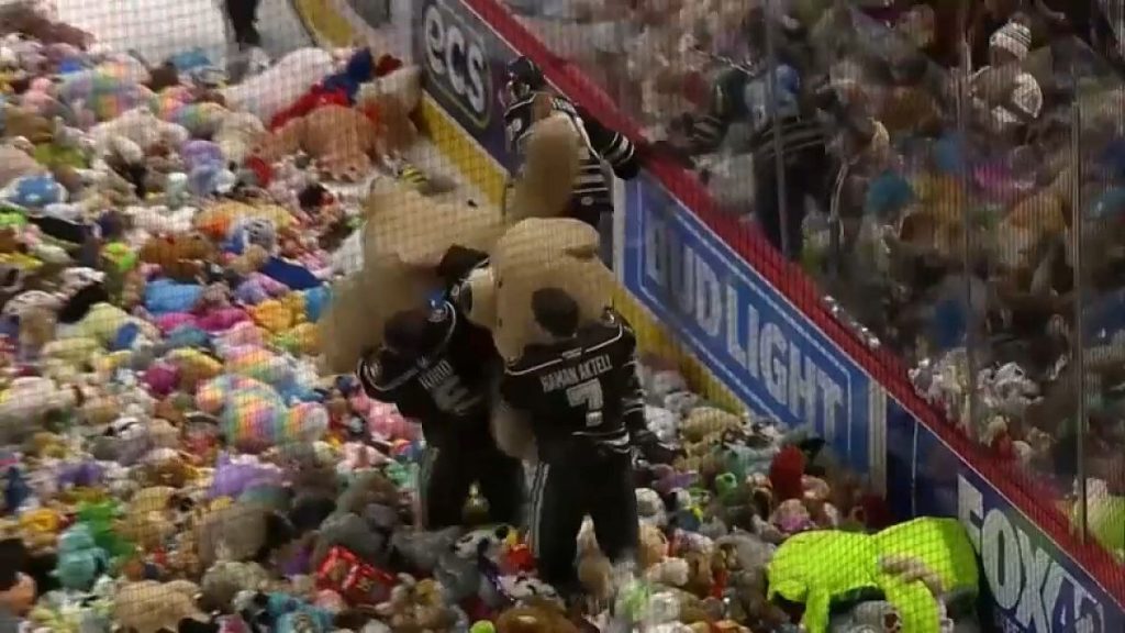 فيديو. شاهد: الجمهور يمطر ملعب الهوكي في هيرشي بدمى دببة محشوة بالقطن