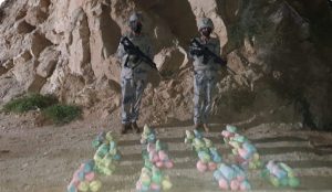 إحباط تهريب 90 كجم من نبات القات المخدر في جازان