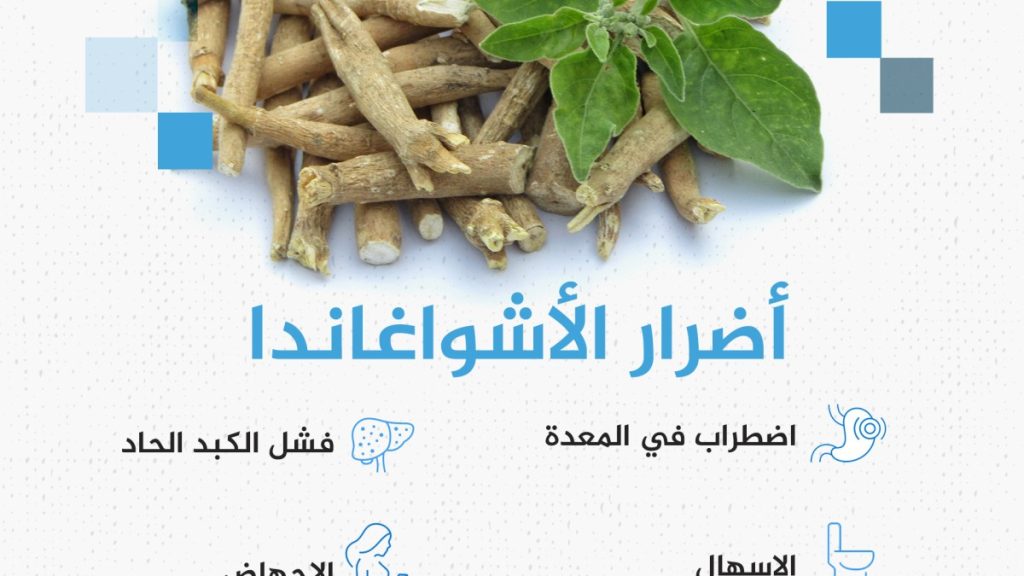 ما أفضل وقت لتناول الأشواغاندا؟ وهل تسبب الإجهاض؟