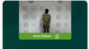 «مكافحة المخدرات» تقبض على مخالف لترويجه مادتي الحشيش والإمفيتامين المخدرتين