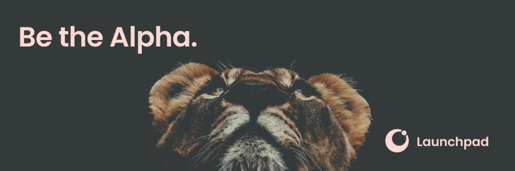 احصل على رمز Launchpad XYZ LPX في 31 يناير، ومنصة V1 متاحة في فبراير مقابل عائد استثمار يبلغ 14,000%