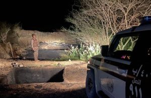 ضبط مخالف لنظام البيئة لقطعه الأشجار وتخزين الحطب المحلي في منطقة المدينة المنورة