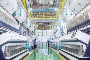 المصانع المتخصصة