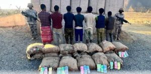 جازان: القبض على 7 «مخالفين» لتهريبهم «القات»