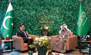 وزير الطاقة يبحث مع نظيره الباكستاني الموضوعات ذات الاهتمام المشترك