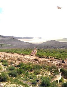 25 نوعاً من الطيور المهددة بالانقراض بمحمية الملك سلمان على القائمة الحمراء