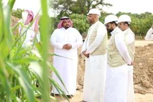 «ريف» يدعم مزارعي «البعلية» بـ 36 مليون ريال