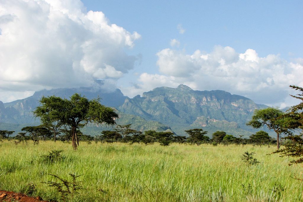 يني شفق: “خطة أوغندا” كادت أن تكون فلسطين أفريقيا