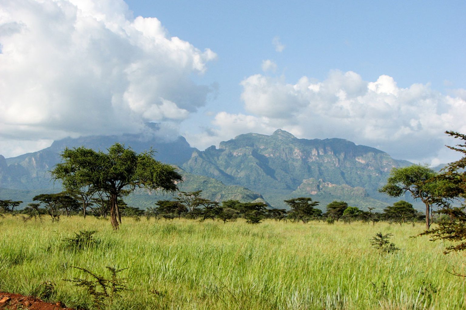 يني شفق: “خطة أوغندا” كادت أن تكون فلسطين أفريقيا