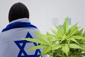 لتجاوز صدمة “طوفان الأقصى”.. الإسرائيليون يدمنون القنب الطبي