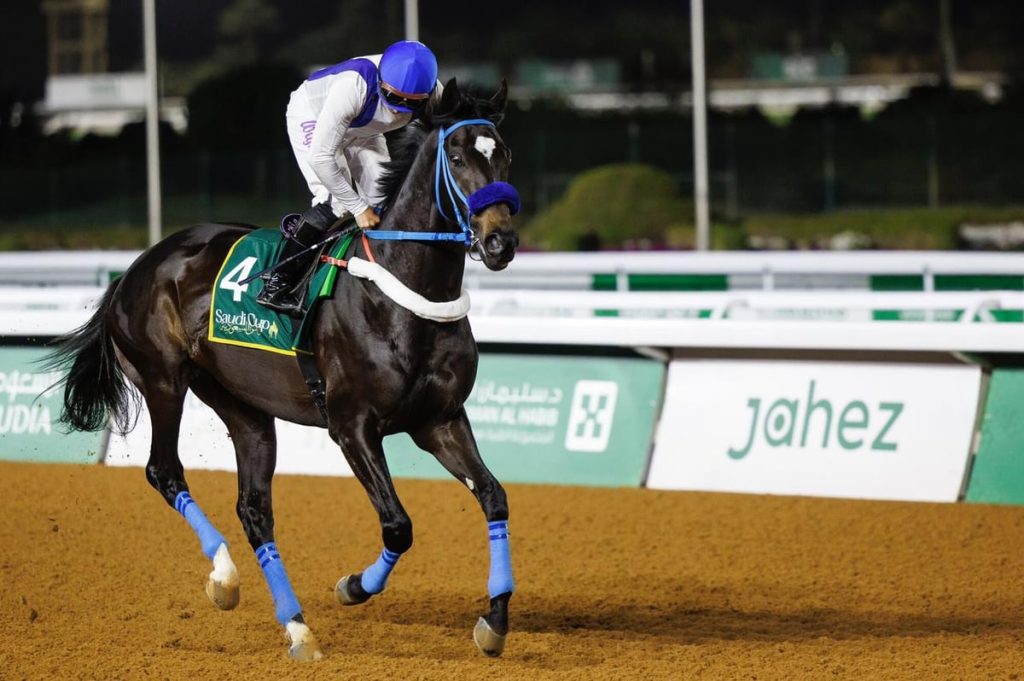 غداً.. انطلاق مهرجان كؤوس الملوك والأمراء في ميدان المؤسس