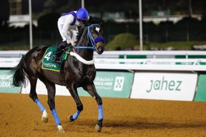 غداً.. انطلاق مهرجان كؤوس الملوك والأمراء في ميدان المؤسس