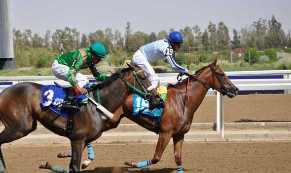 “فروسية نجران” تنظم اليوم سباقها الـ 15 للموسم الحالي