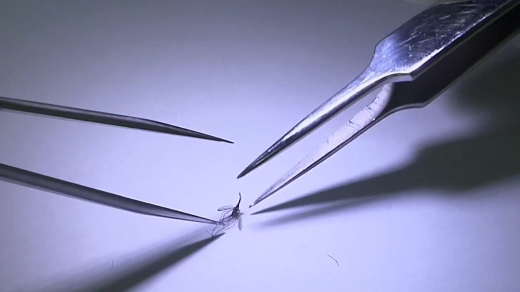 الكاميرون تطلق أول برنامج في العالم لتطعيم الأطفال ضد الملاريا