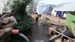 ارتفاع عدد حالات الإصابة بالكوليرا عالميا