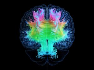 علماء يفسرون سر فعالية العلاج بالصدمات الكهربائية