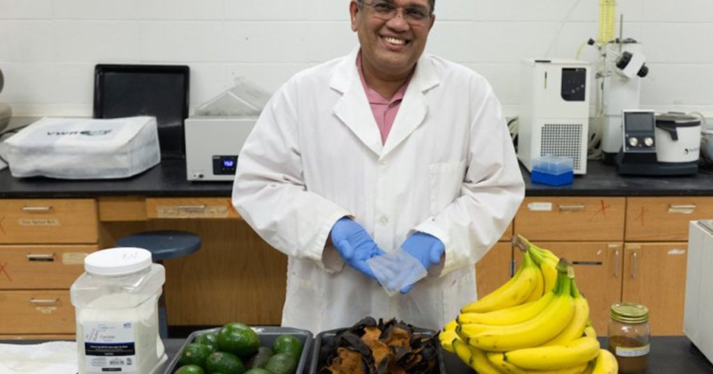 بلاستيك حيوي من قشر الموز.. فوائد بيئية واقتصادية