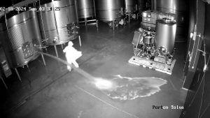 شاهد: ملثم يتسلل إلى مستودع ويفرّغ خزانات نبيذ إسباني فاخر.. والخسارة بالملايين