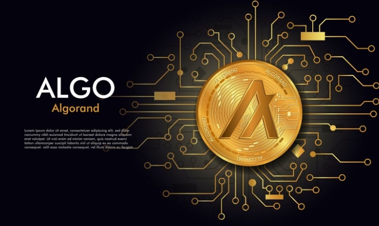 مضخة أو تفريغ؟ تم العثور على مقاييس صعودية في Algorand (ALGO) وInQubeta (QUBE)