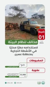 «الأمن البيئي»: ضبط «مخالف» استخدم حطباً محليّاً في الأنشطة التجارية بعسير