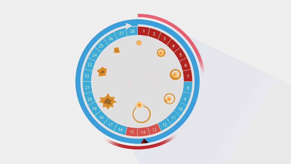 كيف تؤثر مراحل الدورة الشهرية على البشرة والجلد؟
