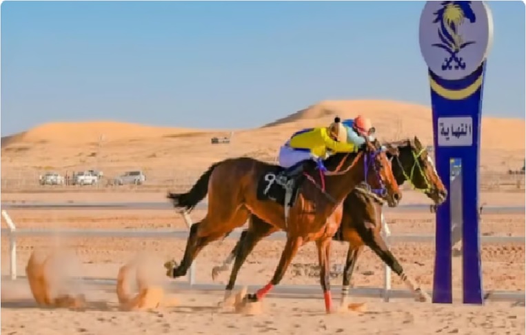 ميدان الفروسية بالمدينة المنورة يقيم الحفل الحادي عشر لسباقات الخيل.. غداً