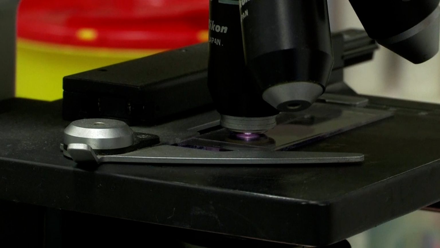 فحوص مهمة للكشف المبكر عن السرطان