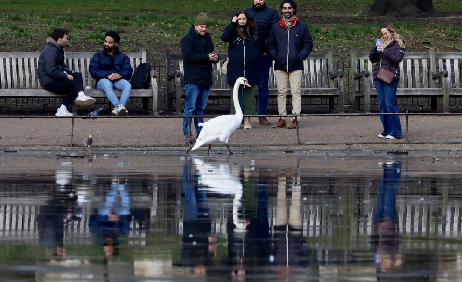 تلغراف: ريف بريطانيا أصبح مساحة “عنصرية استعمارية” للسكان البيض
