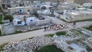 في الذكرى 13 للثورة.. الأمم المتحدة تحذر من ضعف تمويل المساعدات الإنسانية في سوريا