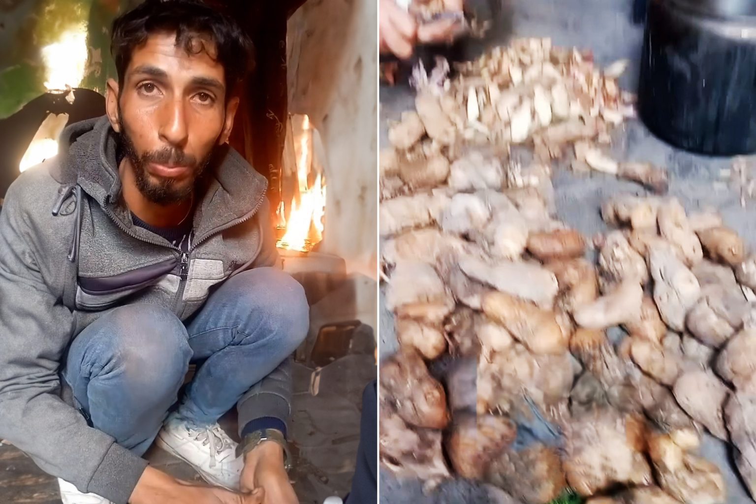 “بدي أسكت أولادي”.. فلسطيني يتخذ من البطاطا التالفة طعاما لأسرته