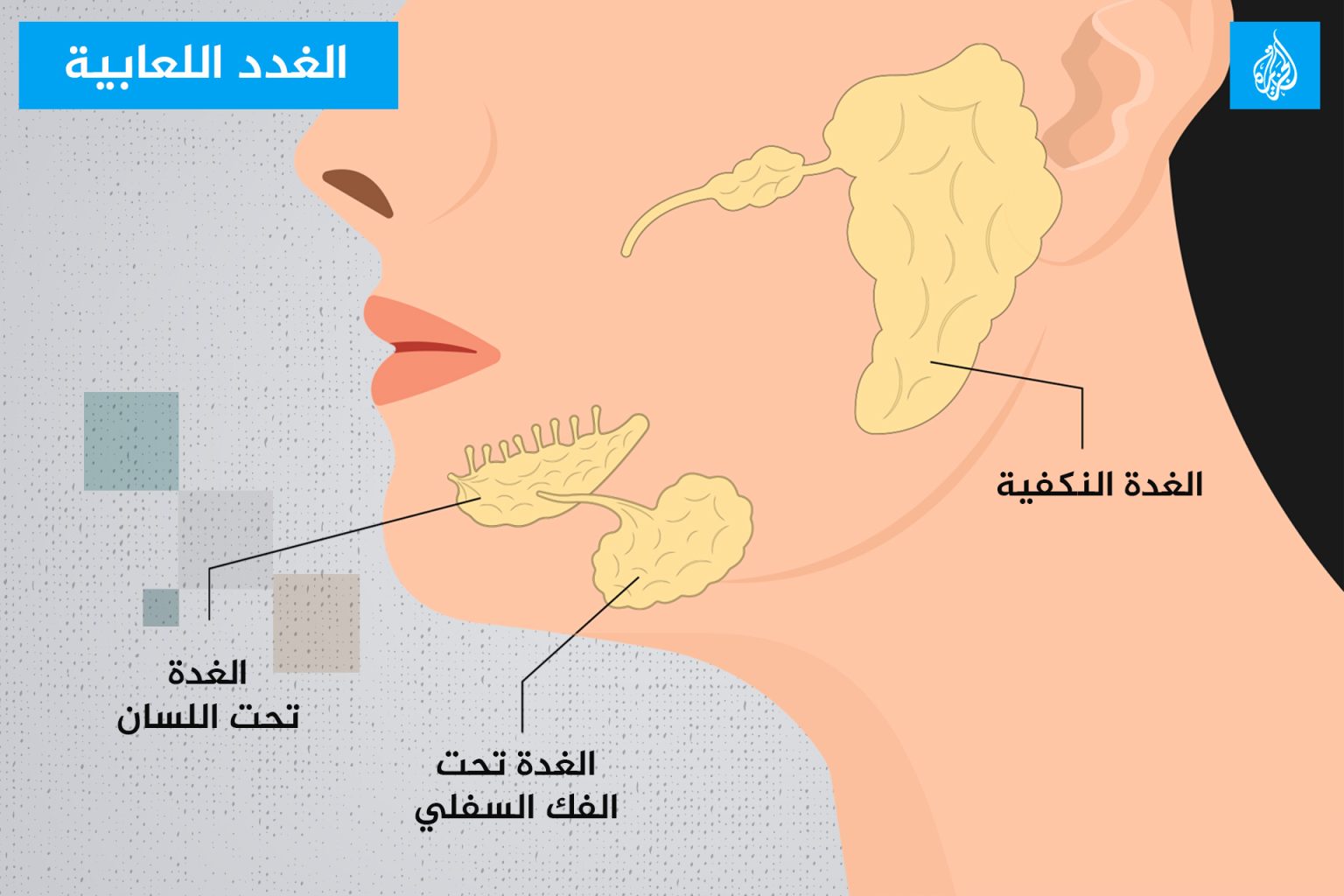 ما متلازمة هيرفوردت؟