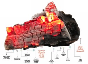 القاتل الصامت!