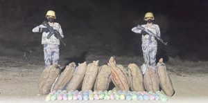 «حرس الحدود» بعسير يحبط تهريب 200 كيلوغرام «قات»