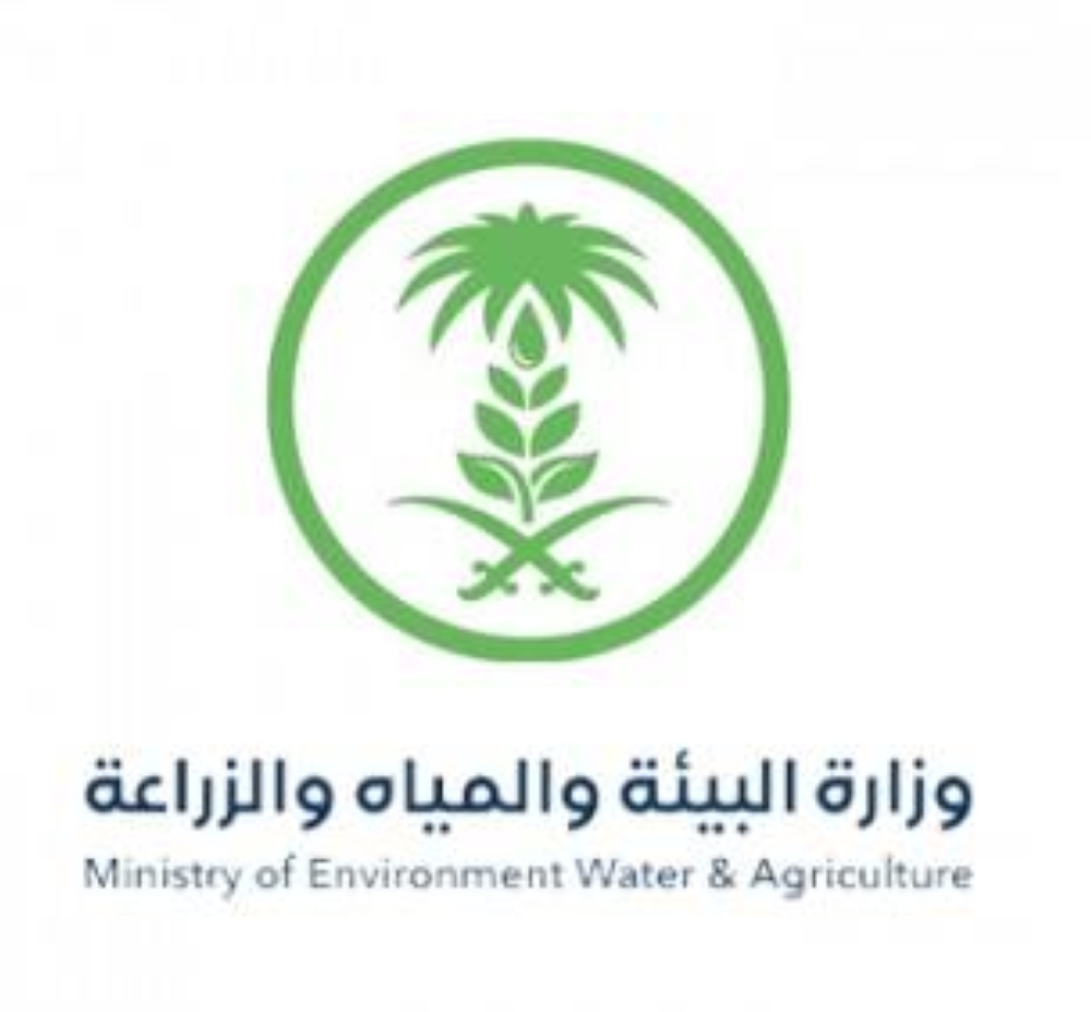 «البيئة»: حجم فقد وهدر الخضروات سنوياً يشكل تحدياً لقطاع الزراعة