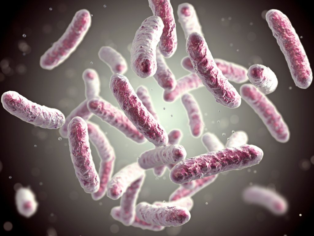 العالم يحتفل بمكافحة السل تحت شعار: نعم! يمكننا القضاء على المرض