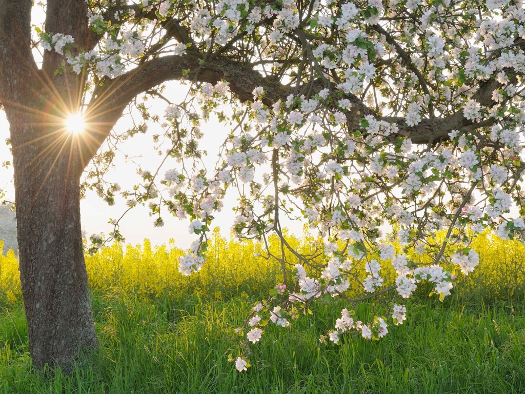 تأثير الشتاء على صحتنا النفسية يستمر حتى الربيع.. كيف تواجهه؟