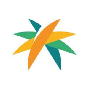 متى يستحق مستفيد «الضمان الاجتماعي» تعويض المقابل المالي لكفاءة الطاقة للمركبات؟.. البرنامج يجيب