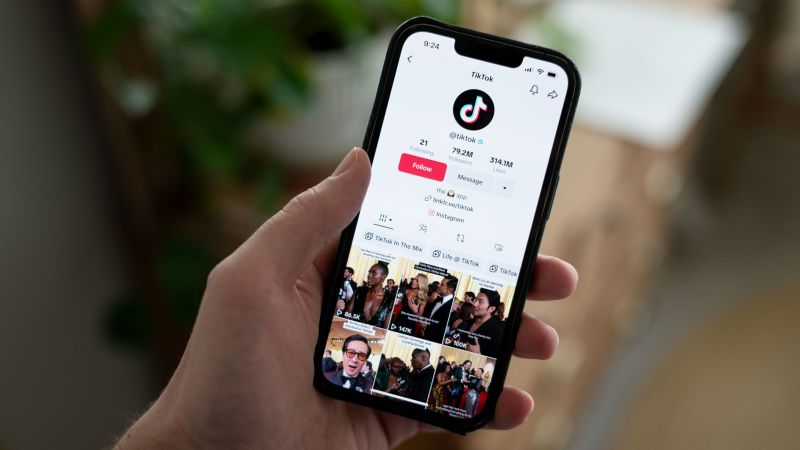تجاعيد في خطط المشرعين لـ TikTok: العثور على مشتري راغب