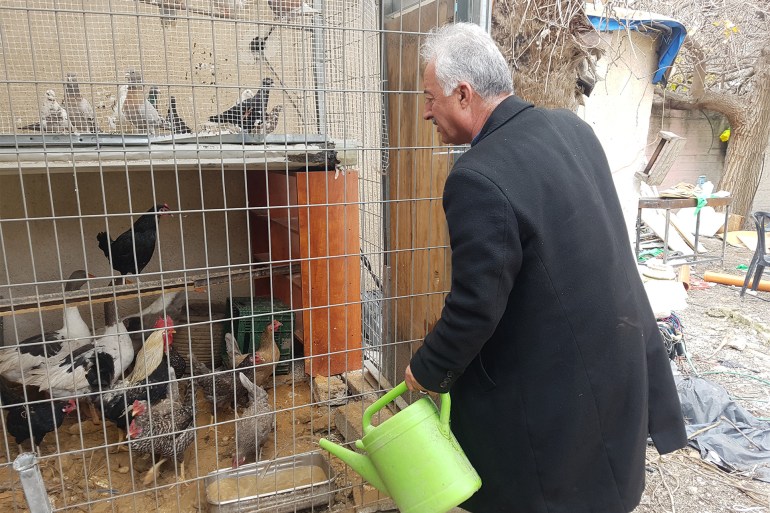 حي البستان، سلوان جنوب المسجد الأقصى، فخري أبو ذياب يسقي الطيور التي يربيها من ماء عين سلوانا