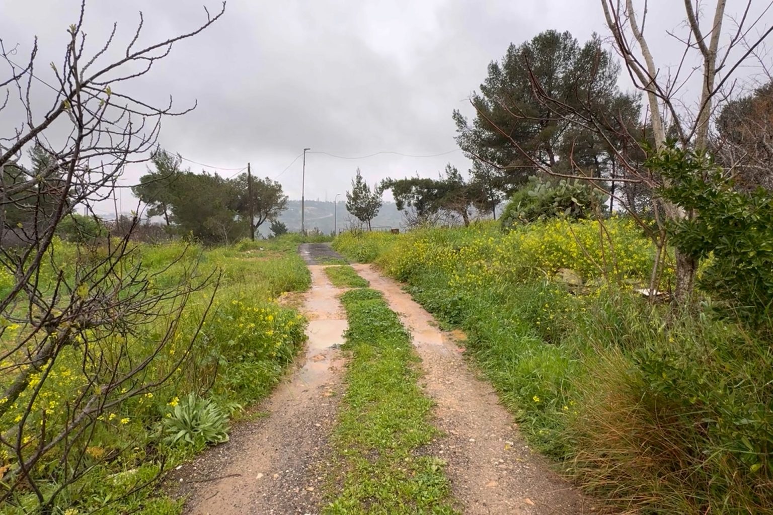 54 عاما في القضاء.. نهاية حزينة لمعركة مقدسي حفاظا على أرضه