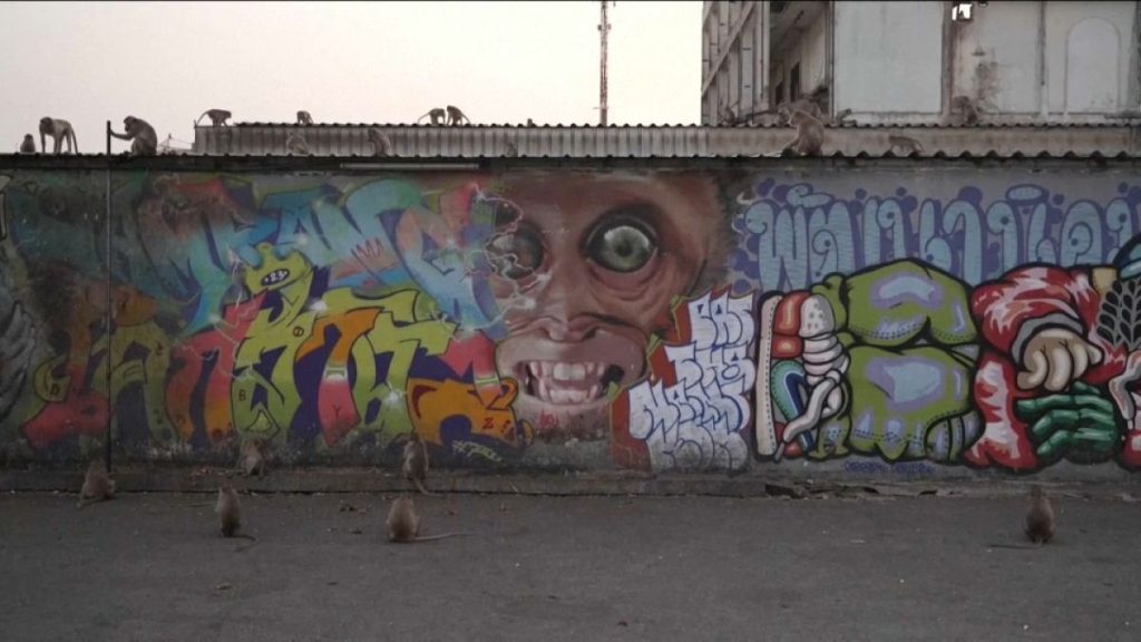 فيديو. قرود تايلاند.. من جاذبين للسياح إلى مشاغبين يثيرون الفوضى