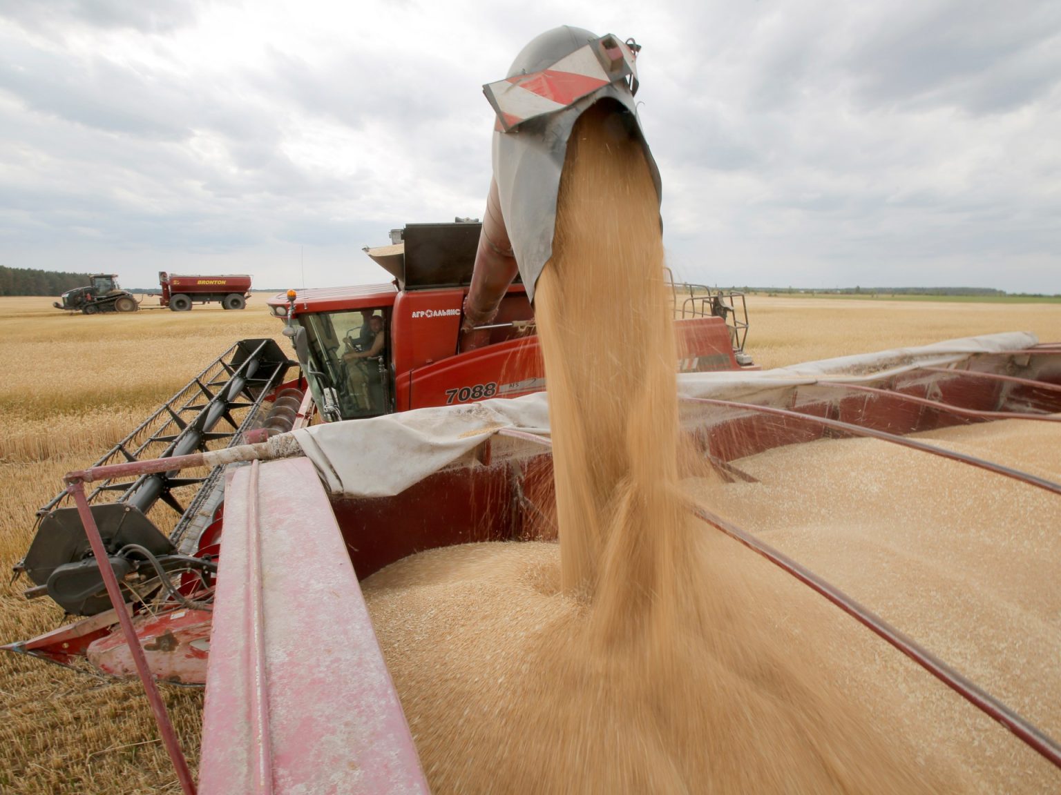 الفاو: ارتفاع مؤشر أسعار الغذاء العالمية للشهر الثالث في مايو